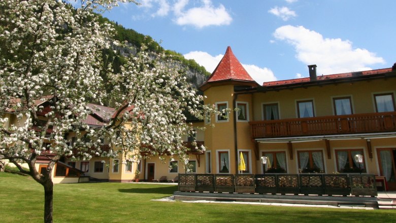 Hotel Waldesruh, © Hotel Waldesruh Ein gelbes Hotel mit roten Dächern und einem blühenden Baum im Vordergrund.