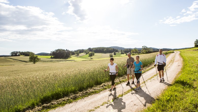 Bewegung, © Gesundheitshotel Klosterberg GmbH Vier Personen beim Nordic Walking auf einem Feldweg in einer ländlichen Landschaft.