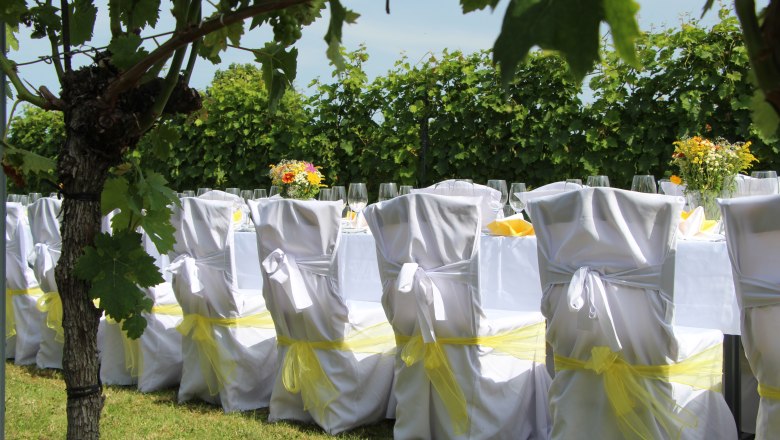 Tafeln im Weinviertel, © Weinviertel Tourismus GmbH Weiß gedeckte Tische mit gelben Akzenten in einem Weinberg.