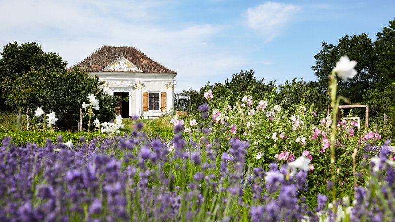 ARCHE NOAH, © ARCHE NOAH_Rupert Pessl Ein kleines, weißes Haus mit Holztüren steht hinter einem blühenden Garten mit Lavendel und anderen Blumen.