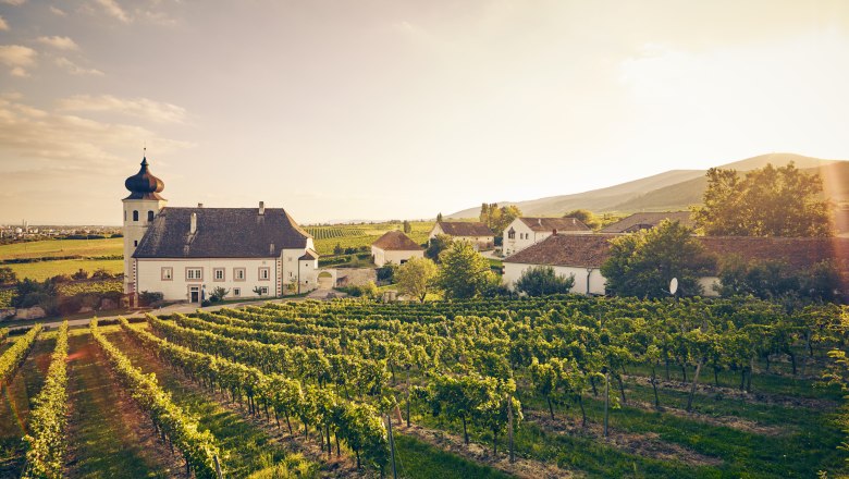 Freigut Thallern, © Niederösterreich Werbung/Andreas Hofer Weingut mit Kirche und Weinreben im Sonnenuntergang.