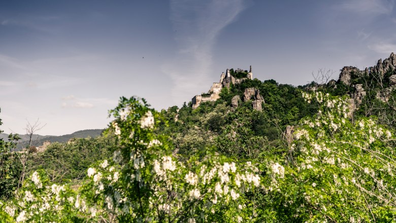 Dürnstein im Frühling, © Robert Herbst Dürnstein im Frühling, © Robert Herbst