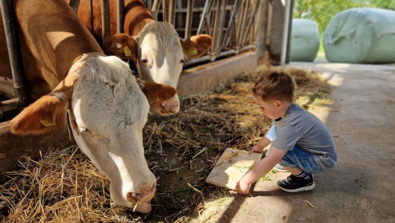 Milchliebe, Wegbauernhof, © Helen Brandstetter Milchliebe, Wegbauernhof, © Helen Brandstetter