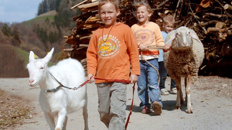 Mit Ziege und Co auf Wanderschaft, © zVg. Zwergerlhof Mit Ziege und Co auf Wanderschaft, © zVg. Zwergerlhof