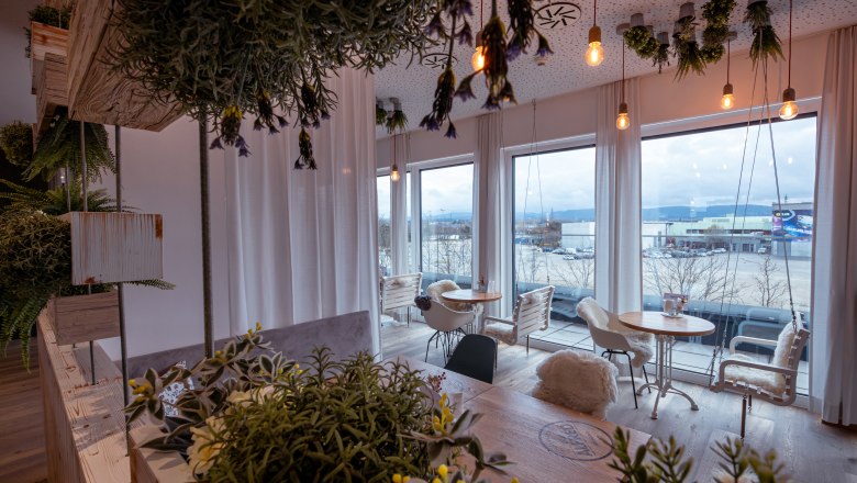 Das Alfred, © Niederösterreich Werbung / Maximilian Pawlikowsky Innenraum eines Cafés mit Pflanzen und großen Fenstern.