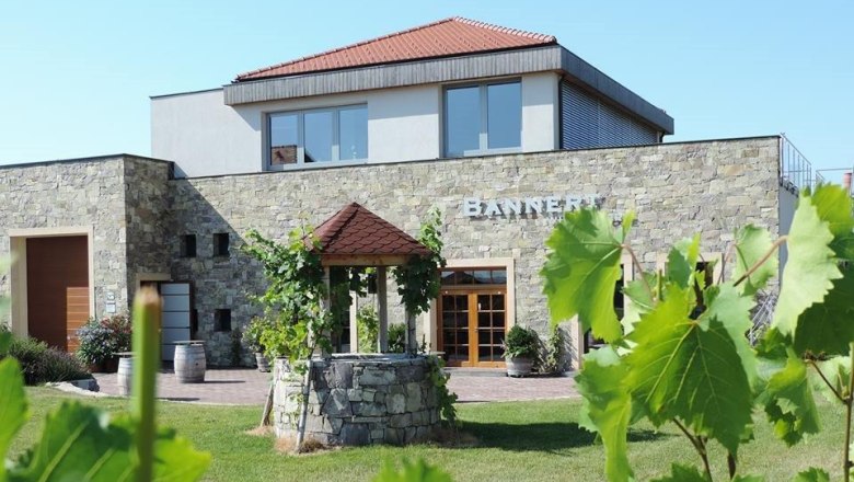 Weingut Bannert, © Weingut Bannert Weingut Bannert mit Steinmauer und Reben im Vordergrund.