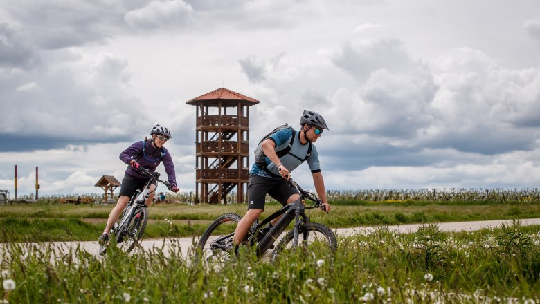 Der Keltenturm am Sandberg, © Erwin Haiden Zwei Radfahrer fahren auf einem Weg vor einem Holzturm in einer ländlichen Landschaft.