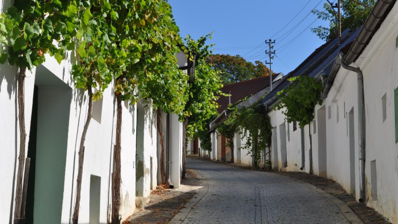 Kellergasse Bürsting, © Weinviertel Tourismus Eine gepflasterte Gasse mit weißen Häusern und Weinreben an den Fassaden unter blauem Himmel.