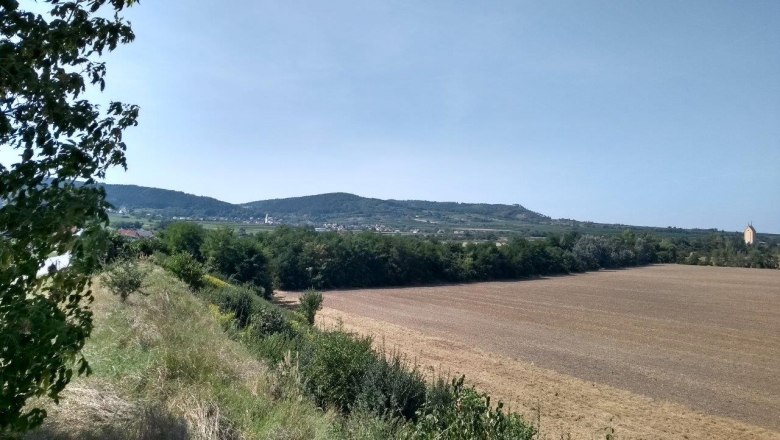 Die bronzezeitlichen Gräberfelder in Franzhausen, © Franz Pieler Die bronzezeitlichen Gräberfelder in Franzhausen, © Franz Pieler