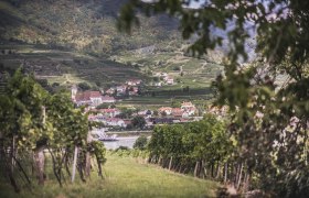 Spaziergang in Rossatz, © Daniela Matejschek Spaziergang in Rossatz, © Daniela Matejschek