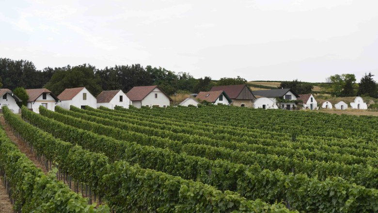 Kellergasse Prellenkirchen, VIA.CARNUNTUM., © Donau Niederösterreich, Steve Haider Kellergasse Prellenkirchen, VIA.CARNUNTUM., © Donau Niederösterreich, Steve Haider