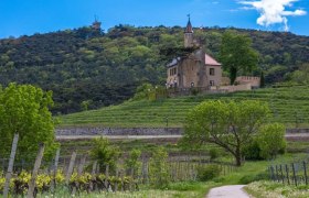 Lausturm, © Marktgemeinde Sooß Lausturm, © Marktgemeinde Sooß