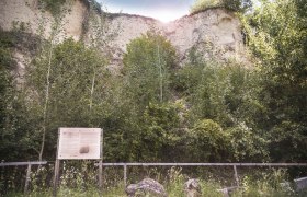 Geologischer Lehrpfad Mautern, © Daniela Matejschek Geologischer Lehrpfad Mautern, © Daniela Matejschek