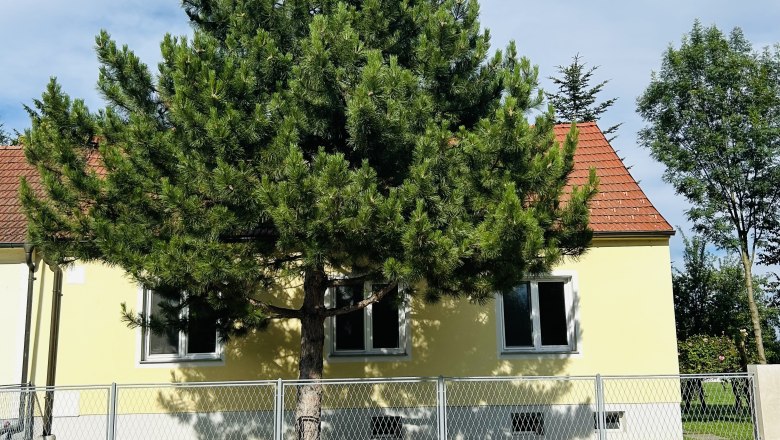 TDR-The Guesthouse außen, © Mayer Markus TDR-The Guesthouse außen, © Mayer Markus