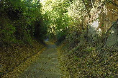 preview_wag_loess_weg_cjosefstefan_bdda8a9dd6_1, © josefstefan preview_wag_loess_weg_cjosefstefan_bdda8a9dd6_1, © josefstefan