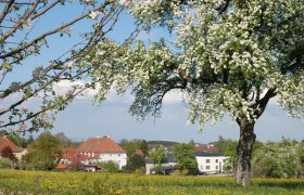 Bildungszentrum St. Benedikt, © BZ St. Benedikt Bildungszentrum St. Benedikt, © BZ St. Benedikt