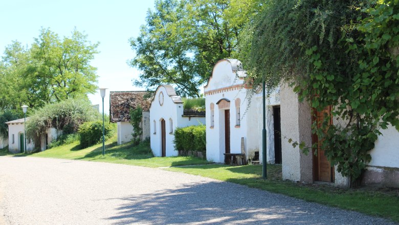 Kellergasse in Hanfthal, © Weinviertel Tourismus Reihe von traditionellen, weiß getünchten Weinkellern mit begrünten Dächern und Bäumen im Hintergrund.