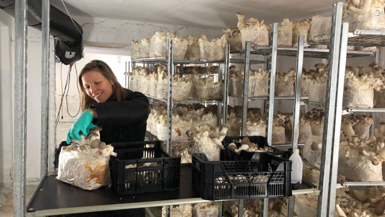 Edelpilzzucht Reiser, Rohrau,, © Biopilzzucht Reiser Edelpilzzucht Reiser, Rohrau,, © Biopilzzucht Reiser