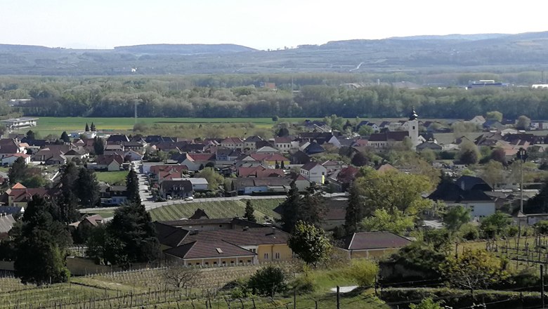 Blick auf Rohrendorf, © Roman Zöchlinger Panoramablick auf das Dorf Rohrendorf mit Weinbergen im Vordergrund und Hügeln im Hintergrund.