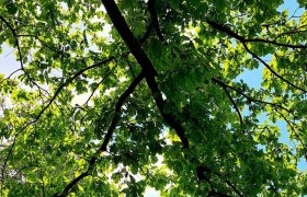 aussenchaletauenblick_c_chaletauenblick, © test aussenchaletauenblick_c_chaletauenblick, © test