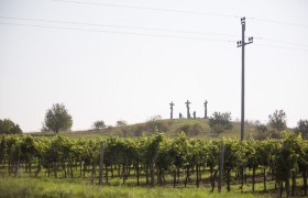 Schrattenthal, © Astrid Bartl Schrattenthal, © Astrid Bartl