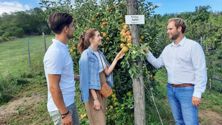 CP Obstbau Pelzmann, Berg, Apfelgarten, © Donau Niederösterreich, Neubauer CP Obstbau Pelzmann, Berg, Apfelgarten, © Donau Niederösterreich, Neubauer