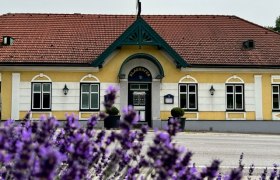 TDR_Gasthaus Klaghofer, © Klaghofer Ein gelbes Gebäude mit rotem Dach und grünen Verzierungen, im Vordergrund blühender Lavendel.