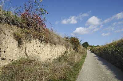 preview_wag_loess_strasse_cjosefstefan_13ab2a31c7_1, © josefstefan preview_wag_loess_strasse_cjosefstefan_13ab2a31c7_1, © josefstefan