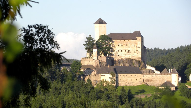 Burg Rappottenstein, © Rauch Burg Rappottenstein inmitten eines Waldes bei Tageslicht.