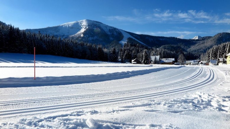 Perfekt gespurte Loipen, © Gerhard Pechhacker Perfekt gespurte Loipen, © Gerhard Pechhacker