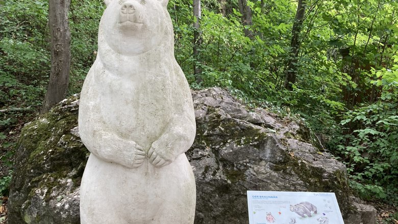 Tropfsteinhöhle Alland, © Marktgemeinde Alland Tropfsteinhöhle Alland, © Marktgemeinde Alland