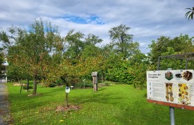 Alchemistenpark Kirchberg am Wagram, © Donau Niederösterreich - Kamptal-Wagram-Tullner Donauraum Alchemistenpark Kirchberg am Wagram, © Donau Niederösterreich - Kamptal-Wagram-Tullner Donauraum