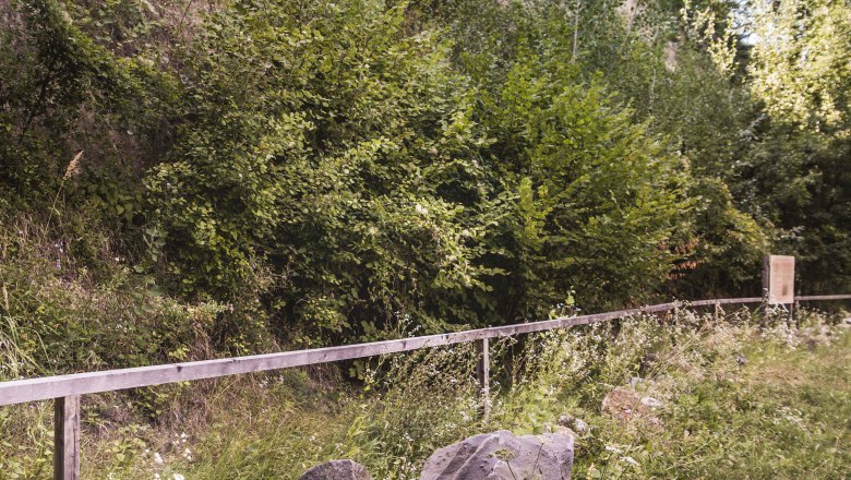 Themenweg, © Daniela Matejschek Themenweg, © Daniela Matejschek