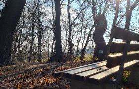 Nani Au im Winter, Marchegg, © Donau Niederösterreich - Tourismusbüro Carnuntum-Marchfeld Nani Au im Winter, Marchegg, © Donau Niederösterreich - Tourismusbüro Carnuntum-Marchfeld