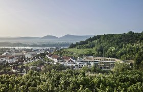Steigenberger Hotel & Spa Krems, © Steigenberger Hotel & Spa, Gregor Titze Blick auf das Steigenberger Hotel & Spa Krems umgeben von Weinbergen und Hügeln.
