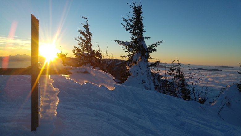 Friesling, © Ernst Lueger Friesling, © Ernst Lueger