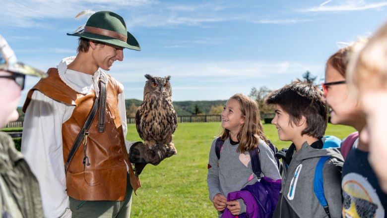 Falknerei Schloss Rosenburg, © Waldviertel Tourismus, Studio Kerschbaum Falknerei Schloss Rosenburg, © Waldviertel Tourismus, Studio Kerschbaum