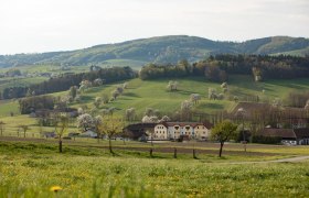 Fotopunkt Zeilinger, © schwarz-koenig.at Fotopunkt Zeilinger, © schwarz-koenig.at