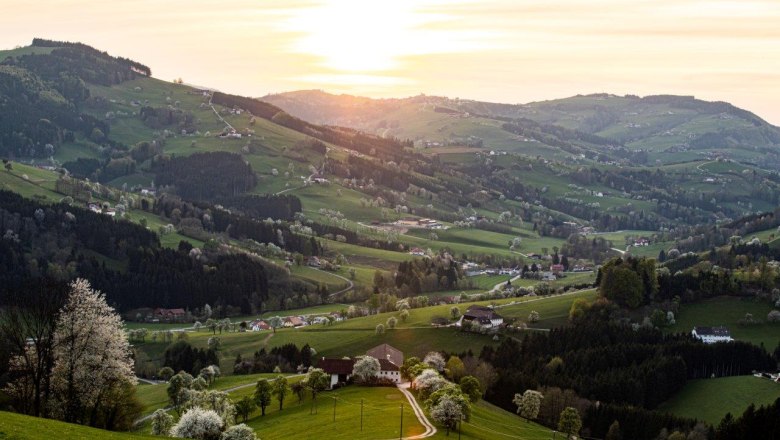 Fotopunkt St. Peter in der Au, © schwarz-koenig.at Fotopunkt St. Peter in der Au, © schwarz-koenig.at