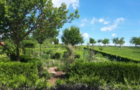 Sonnenkräuterhof Schmidt, © "Natur im Garten"/S. Litschauer Ein gepflegter Kräutergarten mit grünen Hecken und Bäumen unter blauem Himmel.
