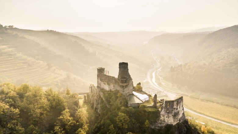 Herbstlandschaft mit Ruine Senftenberg, © Robert Herbst Herbstlandschaft mit Ruine Senftenberg, © Robert Herbst