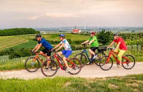 Radfahren im Weinviertel, © Poysdorf Tourismus / Robert Herbst Vier Radfahrer fahren auf einem Weg durch eine grüne Landschaft mit Weinbergen und Windrädern im Hintergrund.
