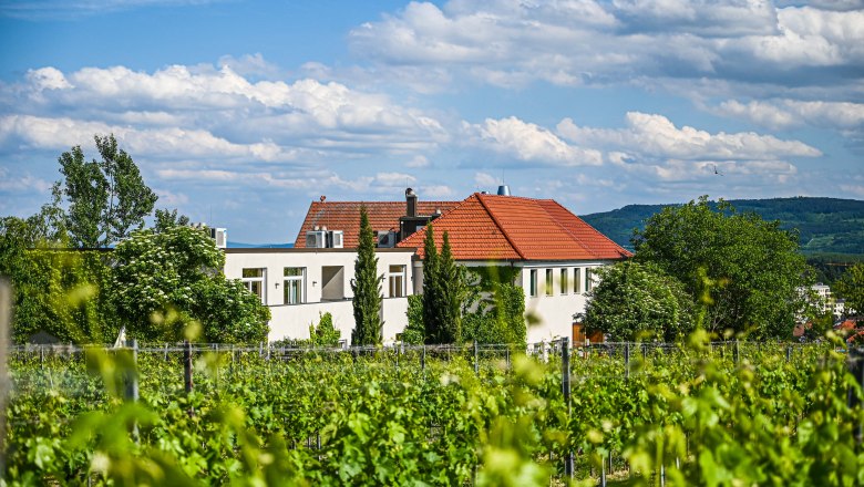 Blick auf Weingärten & Gasthof, © Werner Wachsmann Verlag Blick auf Weingärten & Gasthof