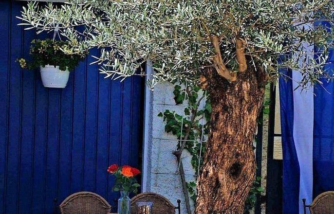 Taverne Zorbas, © Taverne Zorbas Taverne Zorbas, © Taverne Zorbas