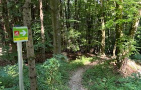 Pyhra Trail, © MTB-Initiative St.Pölten Pyhra Trail, © MTB-Initiative St.Pölten