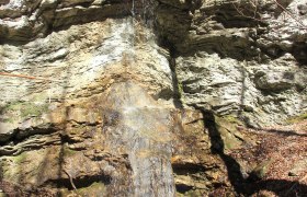 Kendler Wasserfall, © Rupert Winter Ein kleiner Wasserfall fließt über eine Felswand in einem bewaldeten Gebiet.