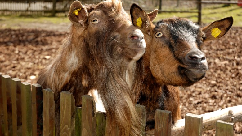 Naturpark Geras, © Naturpark Geras Naturpark Geras, © Naturpark Geras