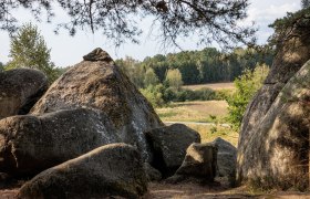Naturpark Blockheide, © Waldviertel Tourismus, Erwin Haiden Im Naturpark Blockheide entfaltet sich eine beeindruckende Landschaft aus majestätischen Felsen und sanften Hügeln, die von üppigem Grün umgeben sind. Die ruhige Atmosphäre lädt dazu ein, die Seele baumeln zu lassen und die Schönheit der Natur in vollen Zügen zu genießen.