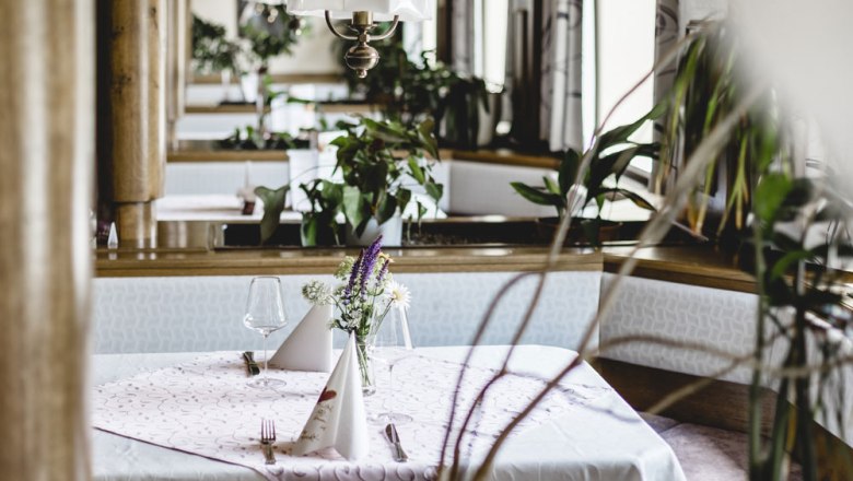 Grüner Daumen in Stube und Kräutergarten, © Niederösterreich Werbung/David Schreiber Ein gedeckter Tisch in einem gemütlichen Raum mit Pflanzen und einer Lampe darüber.