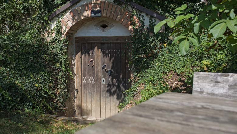 Keller in Spillern, © LEADER-Region Weinviertel / Lahofer Keller in Spillern, © LEADER-Region Weinviertel / Lahofer